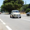 Montevago 2010 (436)